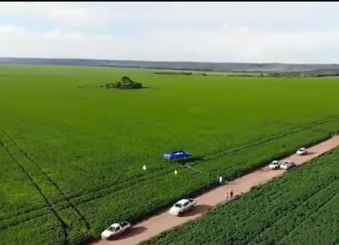 Cropland in Tocantins, Brazil