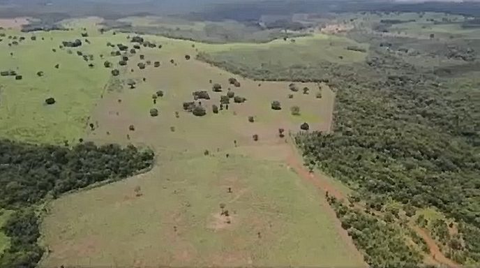 Cattle station in Tocantins, Brazil