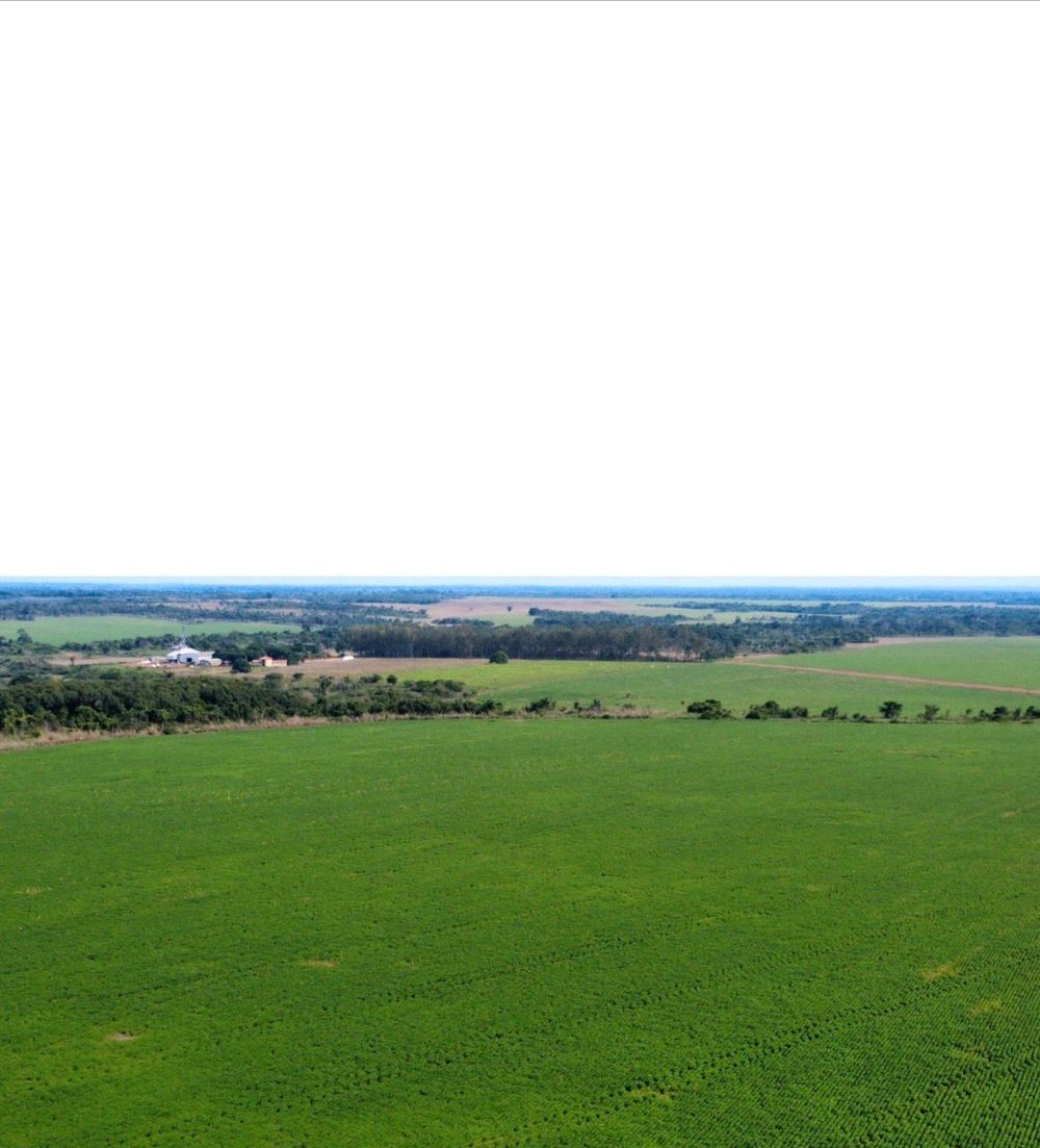 Pasture in Tocantins